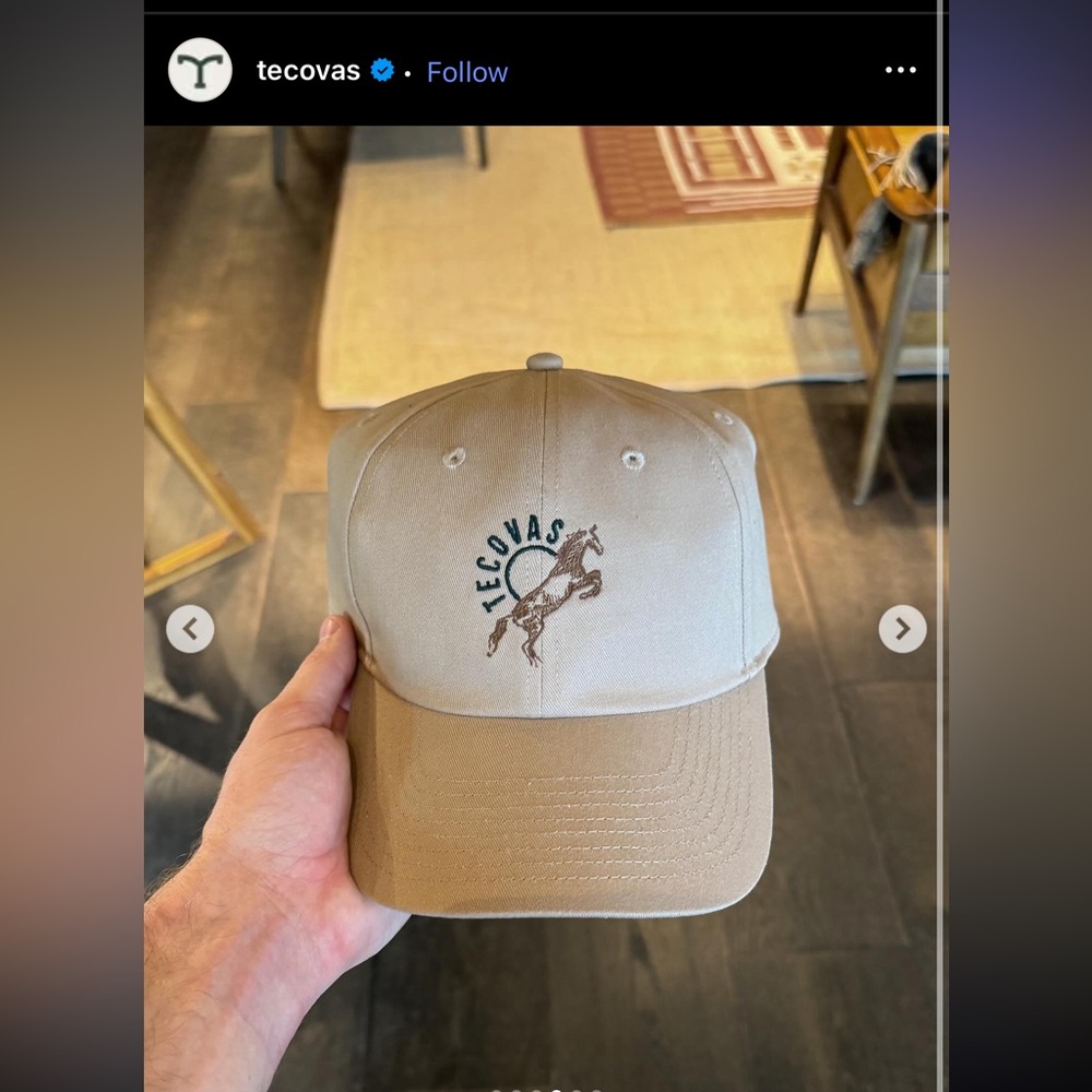Tecovas horse hat